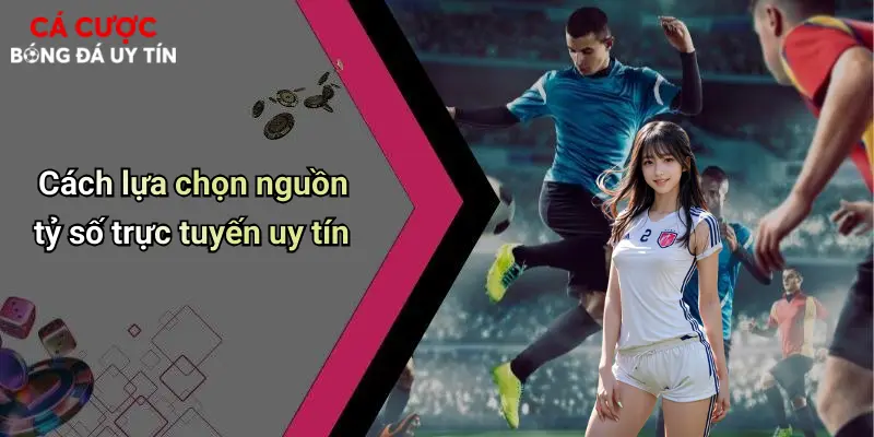 Cách lựa chọn nguồn tỷ số trực tuyến uy tín