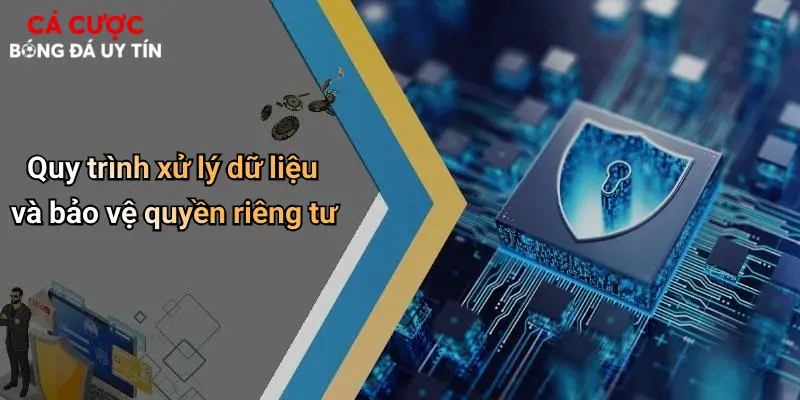 Quy trình xử lý dữ liệu và bảo vệ quyền riêng tư
