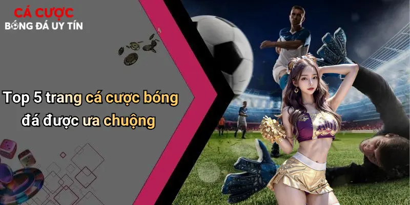 Top 5 trang cá cược bóng đá được ưa chuộng