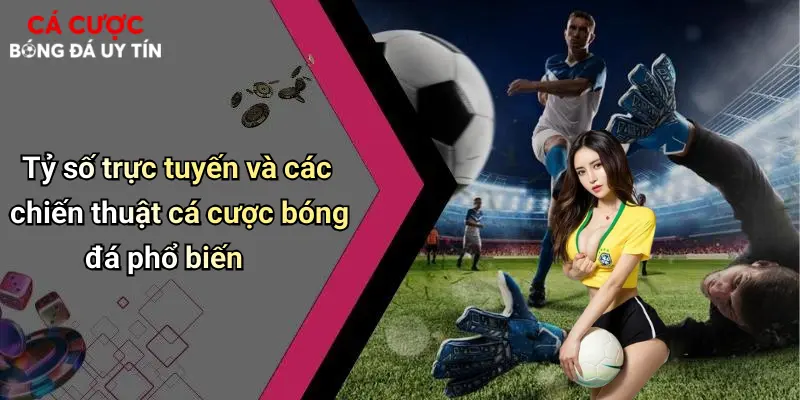 Tỷ số trực tuyến và các chiến thuật cá cược bóng đá phổ biến
