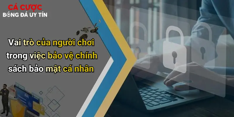 Vai trò của người chơi trong việc bảo vệ chính sách bảo mật cá nhân