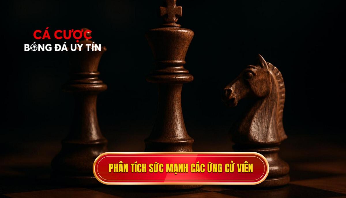 Phân Tích Sức Mạnh Tuyệt Đối Của Các Ứng Cử Viên Vô Địch