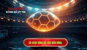 Cá cược bóng đá_ Kèo biến động.