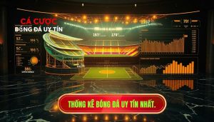 Thống kê bóng đá